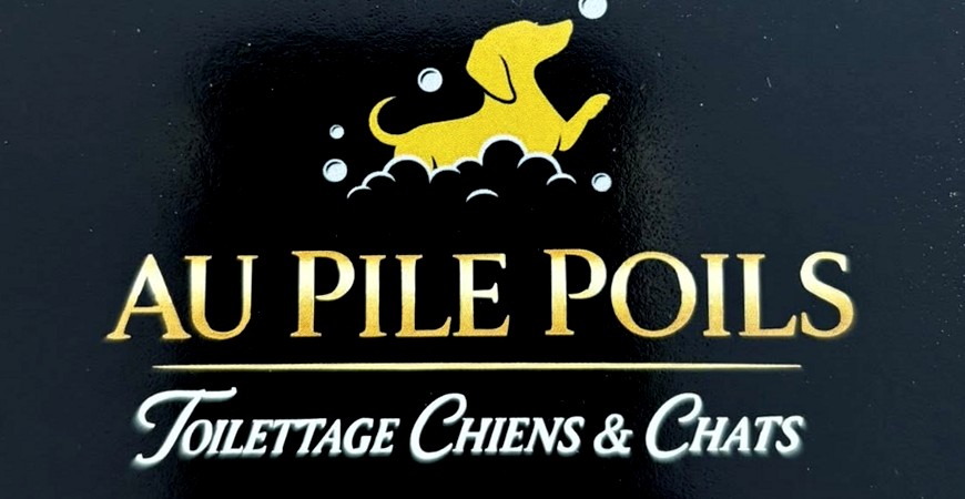 Au Pile Poils — Toilettage chiens et chats