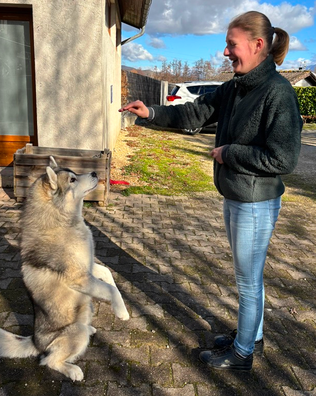 Douce en séance de rappel avec un husky